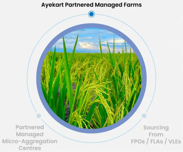 Ayekart BIZ